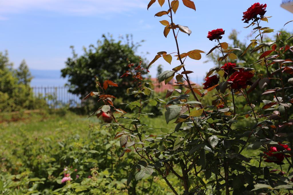 Villa Vera Icici Bagian luar foto